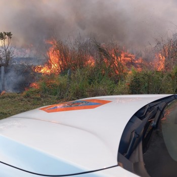 Incêndio em vegetação mobiliza Defesa Civil e empresas na Rodovia BAS-050